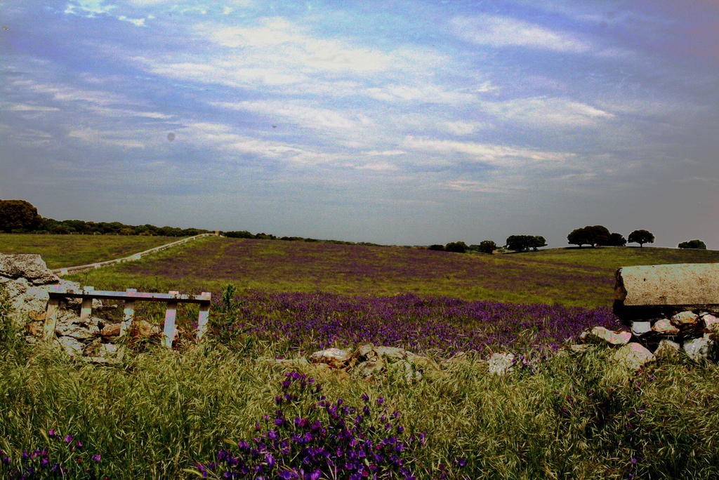 Casa Rural La Cuadraa Linares de Riofrío Chambre photo