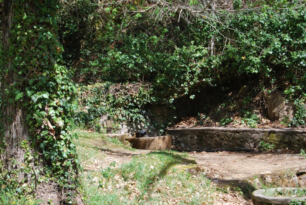 Casa Rural La Cuadraa Linares de Riofrío Extérieur photo